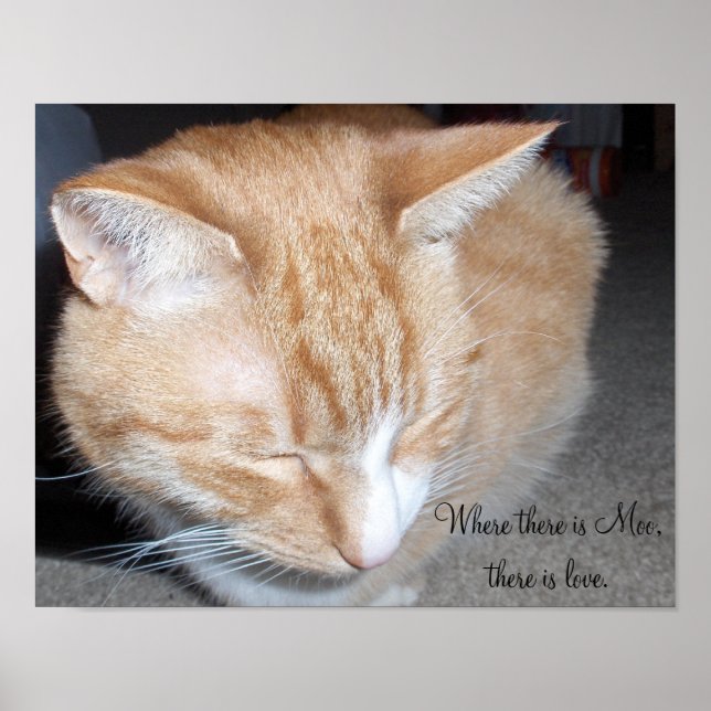 Póster Donde está Moo... (Frente)