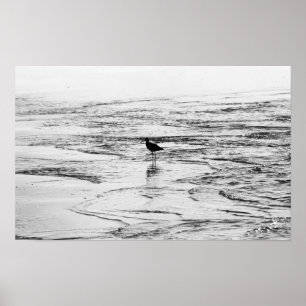 Póster Donde terminan las olas