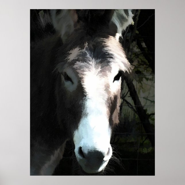 PÓSTER DONKEY (Frente)