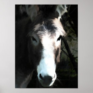 PÓSTER DONKEY