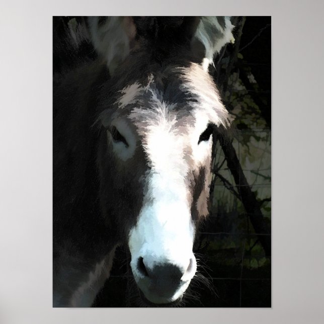 PÓSTER DONKEY (Frente)