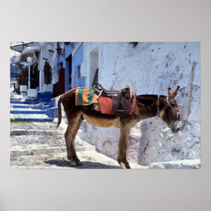 Póster Donkey, Fira Santorini, Grecia