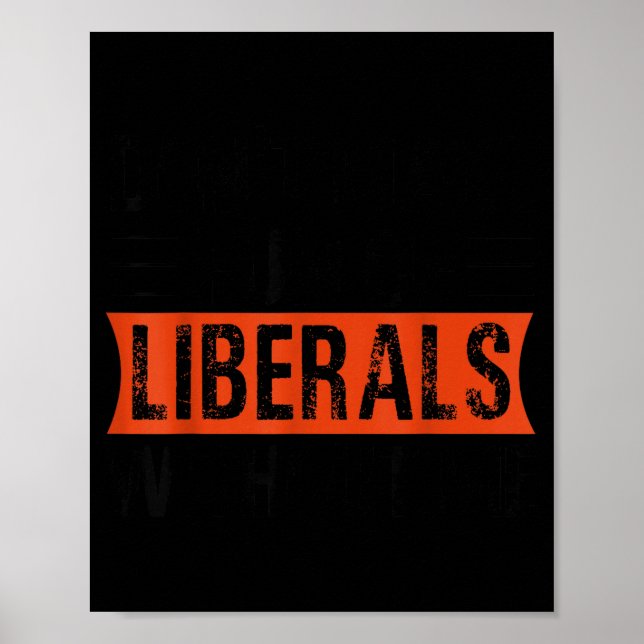Póster Don't Make Fun Of Liberals Without Me Funny Litica (Frente)