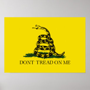 Póster Dont Tread On Me