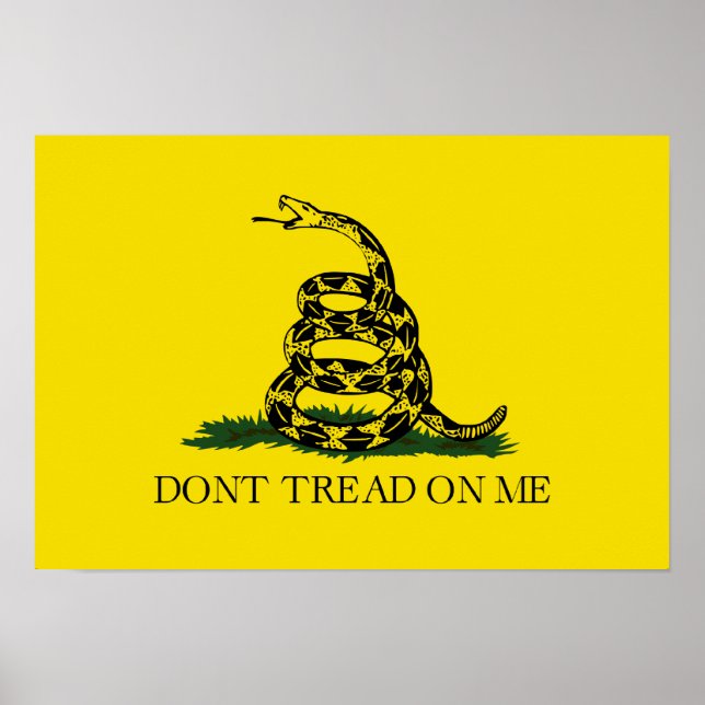 Póster Dont Tread On Me (Frente)