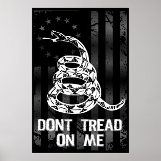 Póster Dont Tread On Me II Large Poster