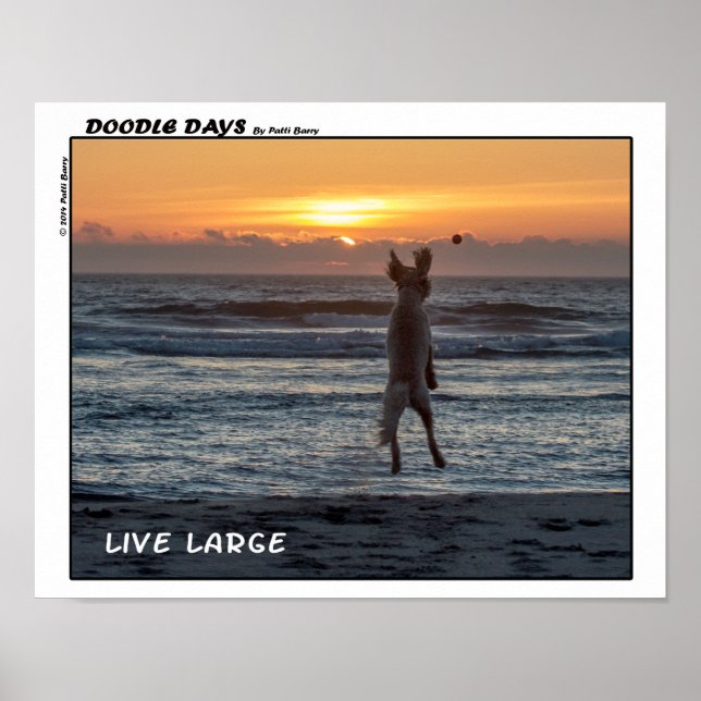 Póster Doodle Days Comics "Live Large" Poster (14 x 11) (Frente)