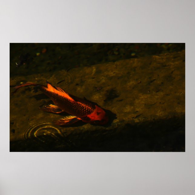 Póster Dorado! (Frente)