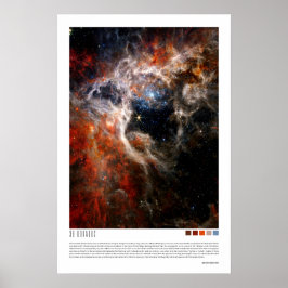 Póster Doradus (Tarantula Nebula, NGC 2070)
