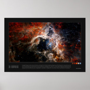 Póster Doradus (Tarantula Nebula, NGC 2070)