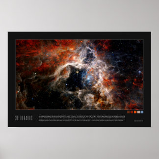 Póster Doradus (Tarantula Nebula, NGC 2070)