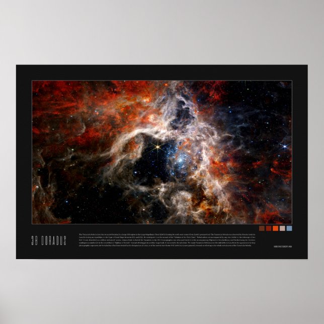 Póster Doradus (Tarantula Nebula, NGC 2070) (Frente)