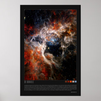 Póster Doradus (Tarantula Nebula, NGC 2070)