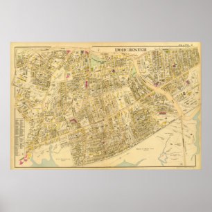 Póster Dorchester, Massachusetts 6