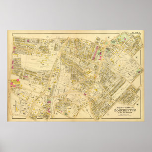 Póster Dorchester, Massachusetts 7