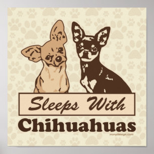 Póster Dormir con el perro de Chihuahuas