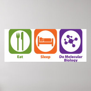 Póster Dormir hace biología molecular