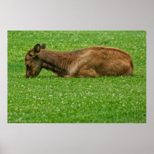 Póster Dormir pequeño uno