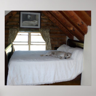 Póster Dormitorio del maestro