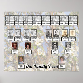 Póster Dos árboles genealógicos en flores blancas Foto