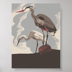 Póster Dos Aves
