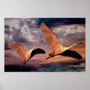 Póster Dos Aves