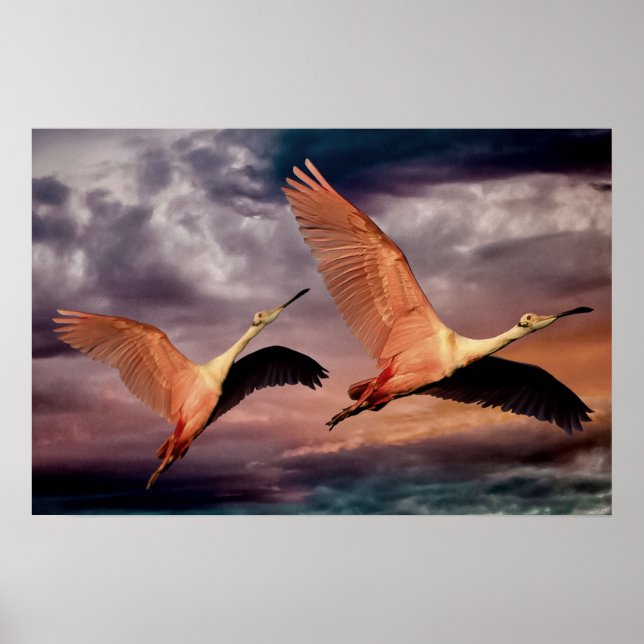 Póster Dos Aves (Frente)