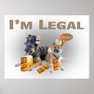 Póster Dos Beerros Legales Shepherd Alemanes