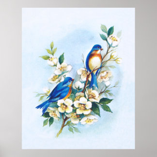 Póster Dos Bluebirds