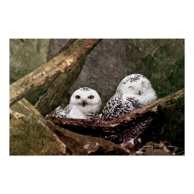 Póster Dos búhos (Anverso)