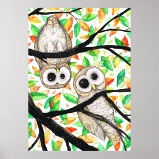 Póster Dos búhos curiosos
