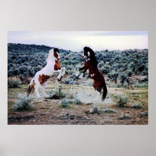 Póster Dos caballos jóvenes jugando