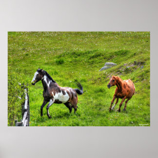 Póster Dos caballos jugando a la caza de caballos Ranch E