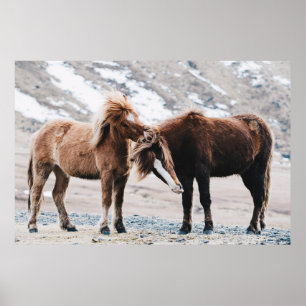 PÓSTER DOS CABALLOS MARRONES EN EL CAMPO