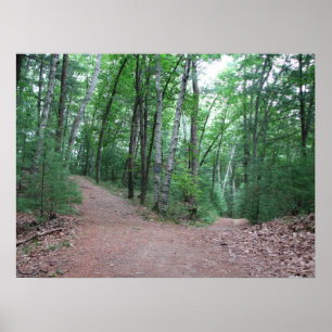 Póster Dos Carreteras Diversas En Una Madera Amarilla