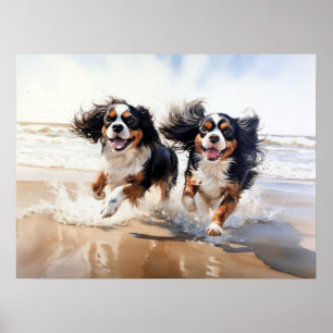 Póster Dos Cavalier King Charles Spaniels