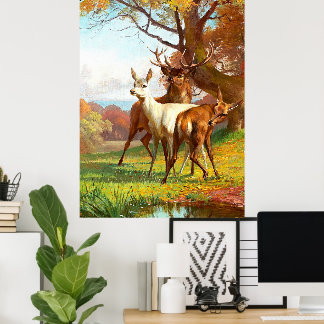 Póster Dos ciervos rojos y blancos en el bosque