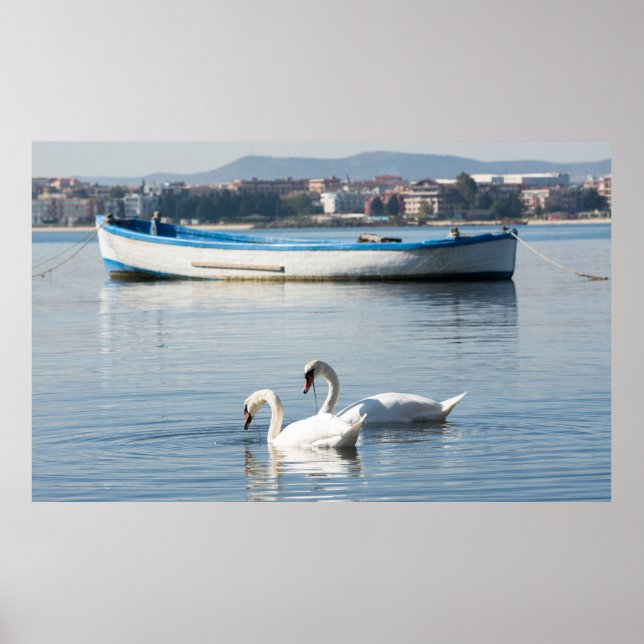Póster Dos cisnes (Frente)