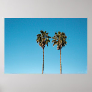 Póster Dos cocoteros verdes