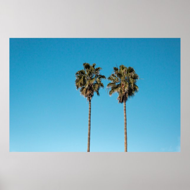 Póster Dos cocoteros verdes (Frente)