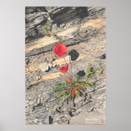 Póster Dos crudamente cretácicos