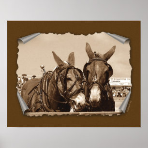 Póster Dos de una clase