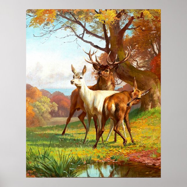 Póster Dos Deer Rojo Y Blanco En El Bosque (Frente)