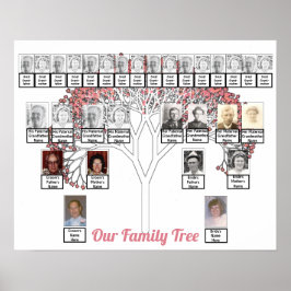 Póster Dos familias Poster de nombres de foto de árbol fr
