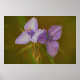 Póster Dos flores moradas Art Wildflower Poster