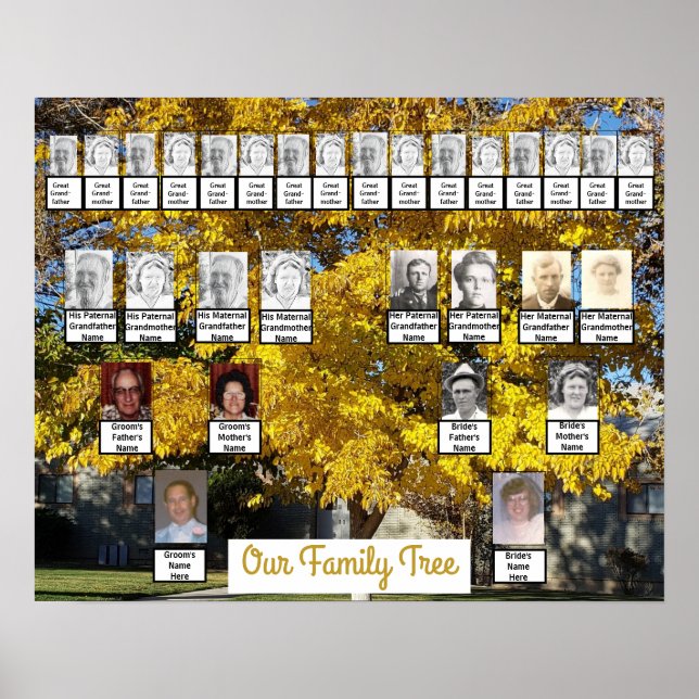 Póster Dos fotos de árbol de otoño de familias | Poster d (Frente)
