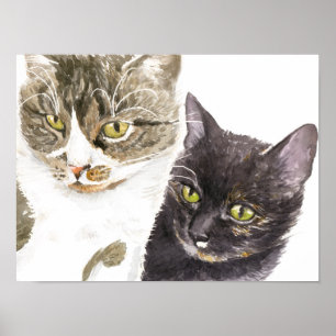 Póster Dos gatos - tabby y tortie