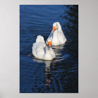 Póster Dos Geese Emden II