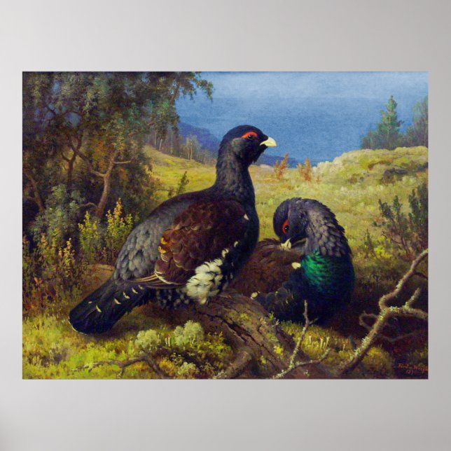 Póster Dos hermosas aves (Frente)