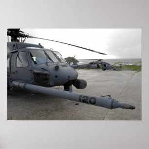 Póster Dos HH-60G Pave Hawks